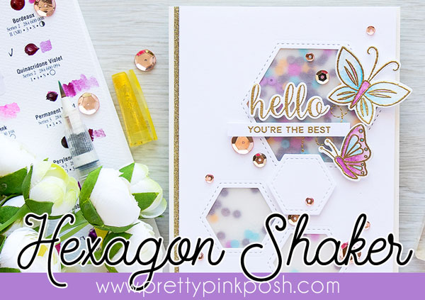 Butterfly Hexagon Shaker + PDF Download