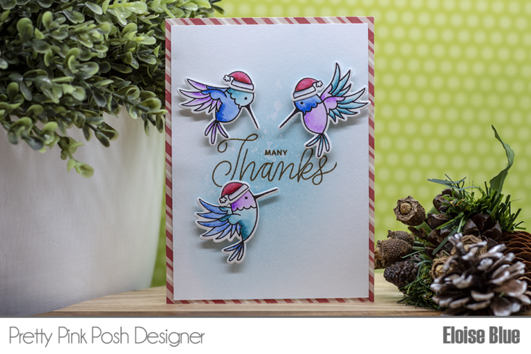 Christmas Hummingbirds + Video