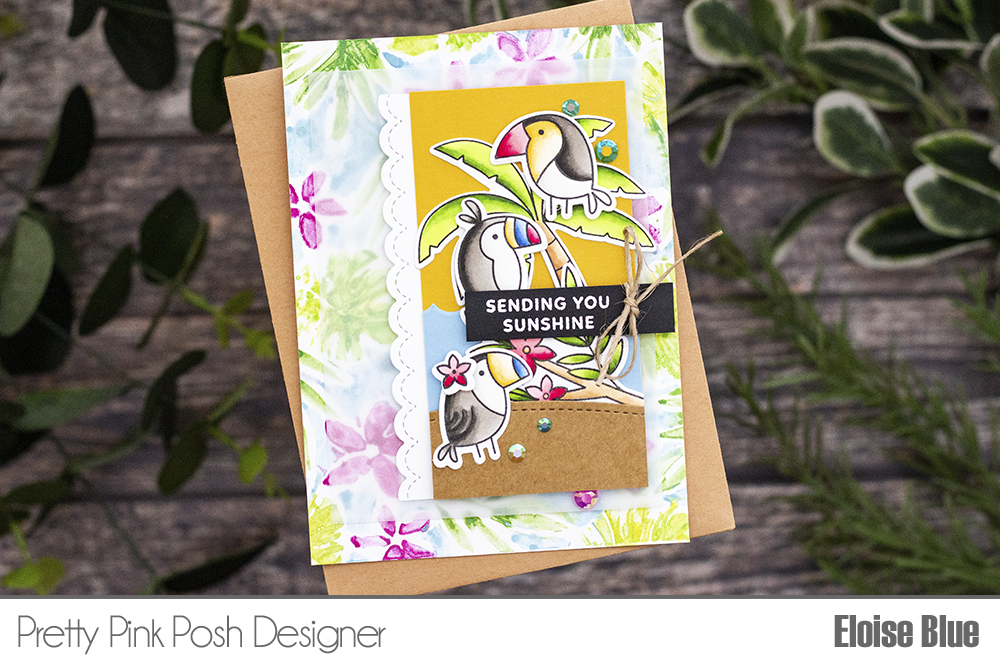 Pretty Pink Posh: Bright Everyday Toucans