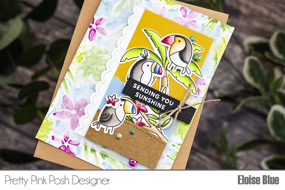 Pretty Pink Posh: Bright Everyday Toucans