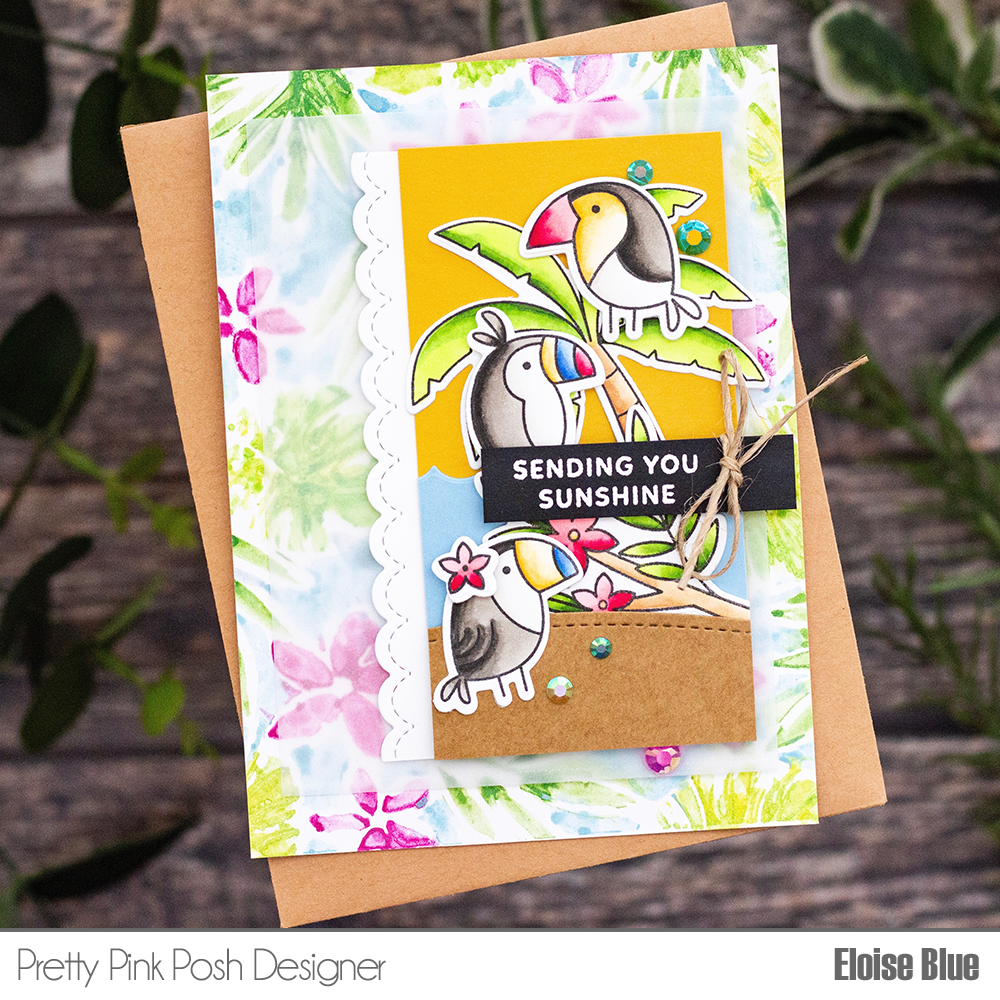 Pretty Pink Posh: Bright Everyday Toucans