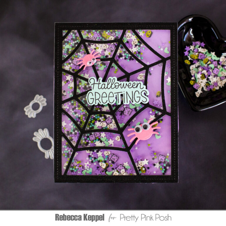 Edge to Edge Spider Web Shaker Card